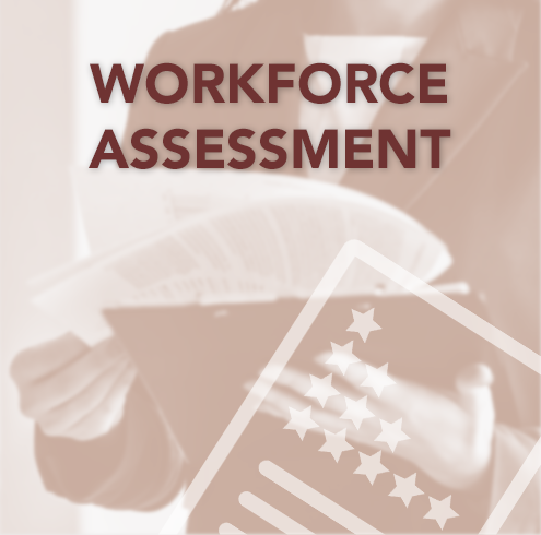 Workforce-Assessment
